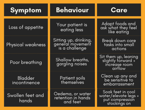 End of Life Care Plan: Where to Start? | Skills for Health