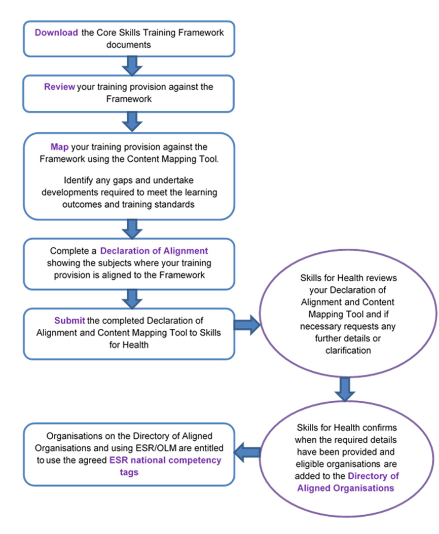 Image: Summary process for NHS Trusts to align with the CSTF.